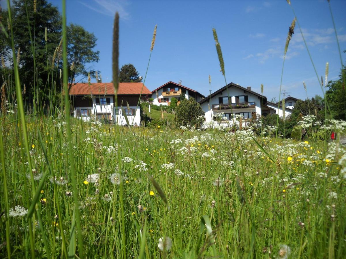Ferienwohnung Im- Oberland - Berg - KönigsCard Bad Kohlgrub Exterior foto