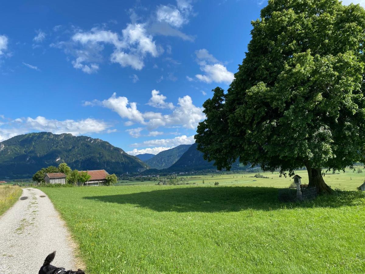 Ferienwohnung Im- Oberland - Berg - KönigsCard Bad Kohlgrub Exterior foto